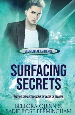 Book cover for Surfacing Secrets