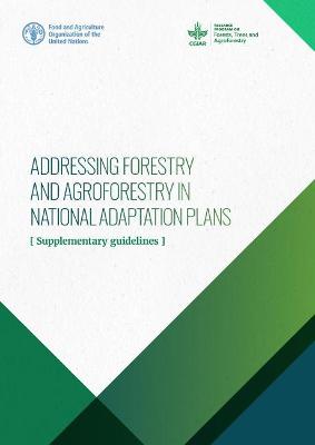 Book cover for Addressing forestry and agroforestry in national adaptation plans