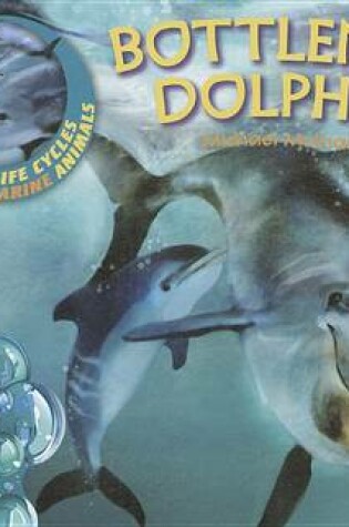 Cover of Us Lcma Bottlenose Dolphins