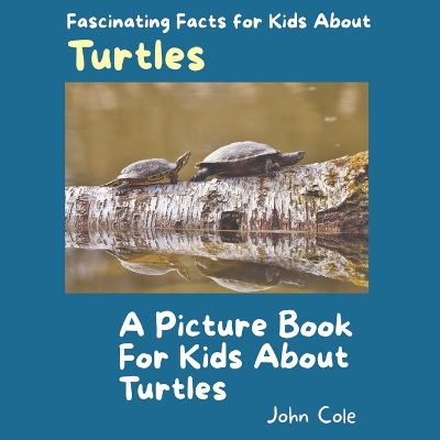 Book cover for A Picture Book for Kids About Turtles