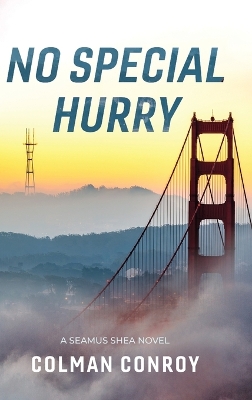 Book cover for No Special Hurry