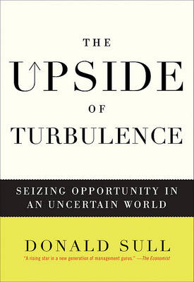 Book cover for The Upside of Turbulence