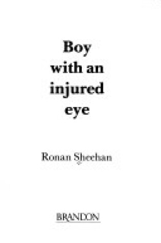 Cover of Boy with an Injured Eye