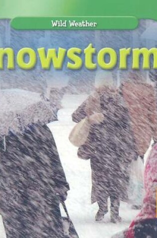 Cover of Snowstorms