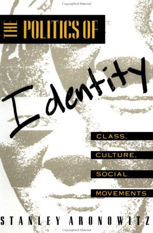 Book cover for The Politics of Identity