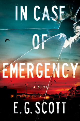 Book cover for In Case of Emergency