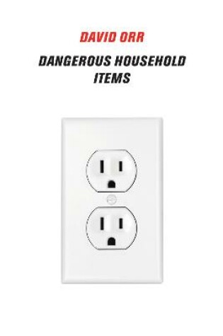 Cover of Dangerous Household Items