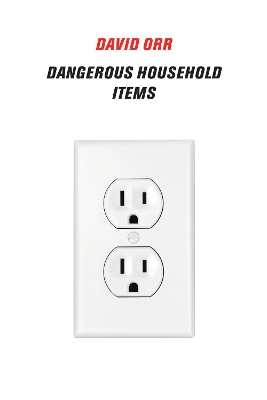 Book cover for Dangerous Household Items