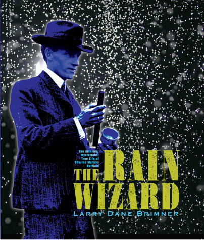 Book cover for The Rain Wizard