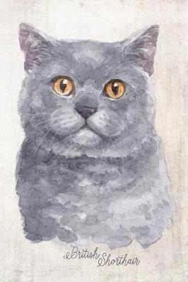 Cover of British Shorthair Cat Portrait Notebook
