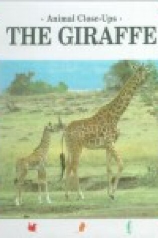 Cover of Giraffe