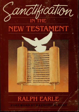 Book cover for Sanctification in the New Testament