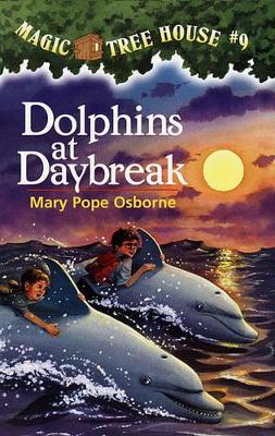 Book cover for Dolphins at Daybreak