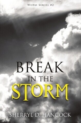 Cover of Break in the Storm