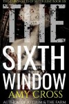 Book cover for The Sixth Window
