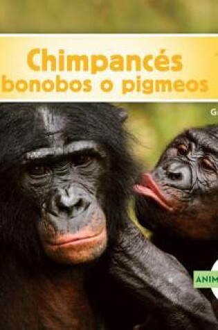 Cover of Chimpances Bonobos (Bonobos)