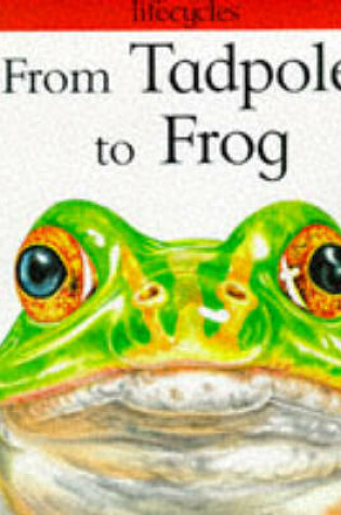 Cover of From Tadpole to Frog