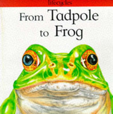 Cover of From Tadpole to Frog