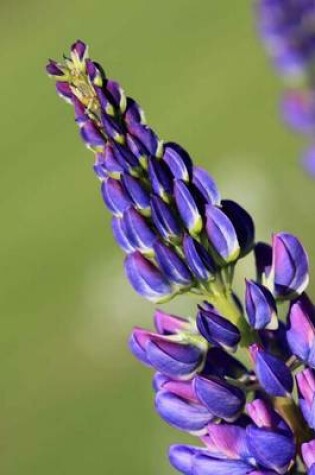 Cover of Close-Up of Purple Lupin, for the Love of Flowers