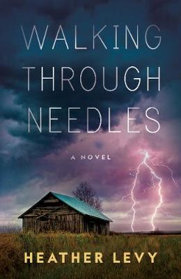 Book cover for Walking Through Needles