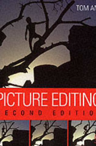 Cover of Picture Editing