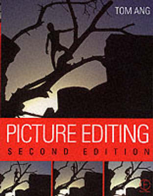 Book cover for Picture Editing