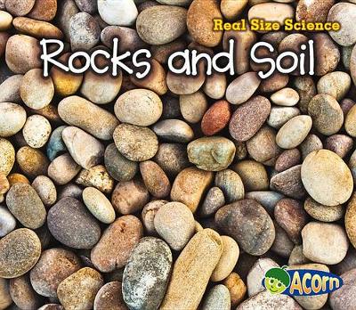 Book cover for Rocks and Soil: Real Size Science (Real Size Science)