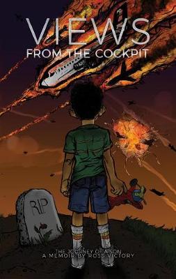 Book cover for Views from the Cockpit