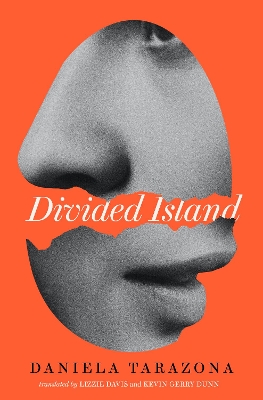 Book cover for Divided Island