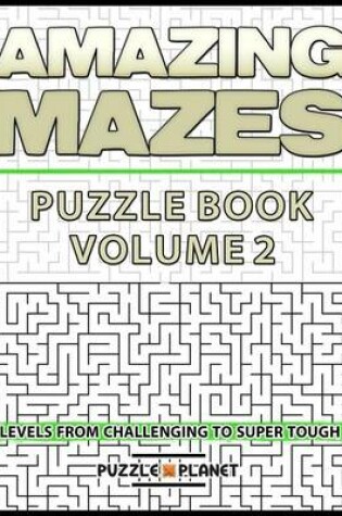 Cover of Amazing Mazes Puzzle Book 2 - Mazes for Adults