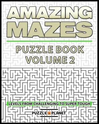 Book cover for Amazing Mazes Puzzle Book 2 - Mazes for Adults