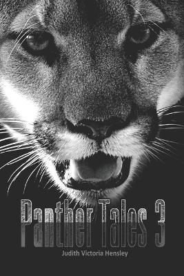 Book cover for Panther Tales 3