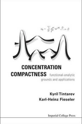 Cover of Concentration Compactness: Functional-Analytical Grounds and Applications