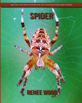 Book cover for Spider