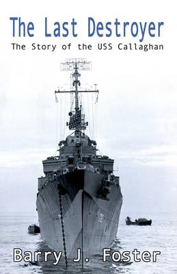Book cover for The Last Destroyer