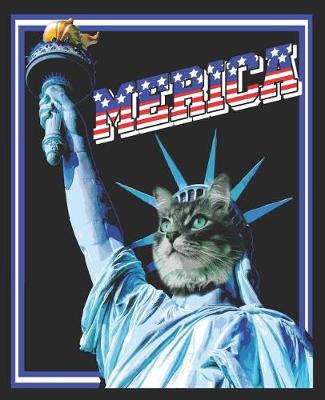 Book cover for Merica