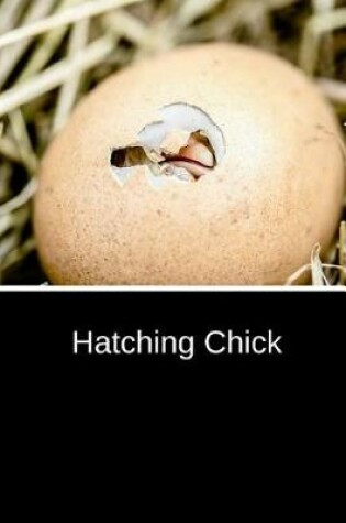 Cover of Hatching Chick