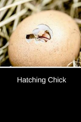Book cover for Hatching Chick