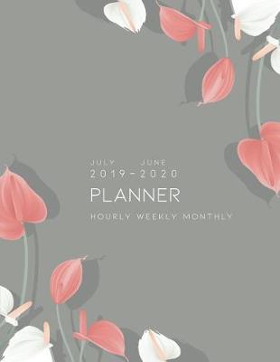 Book cover for Planner July 2019 - June 2020 Hourly Weekly Monthly