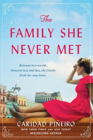 Cover of The Family She Never Met