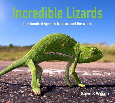 Cover of Incredible Lizards