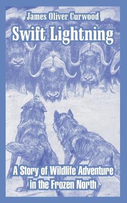 Book cover for Swift Lightning