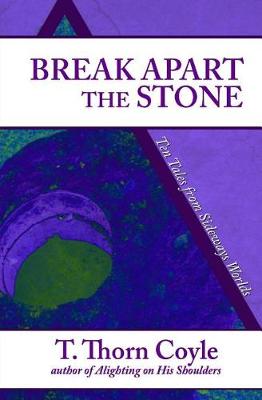 Book cover for Break Apart the Stone