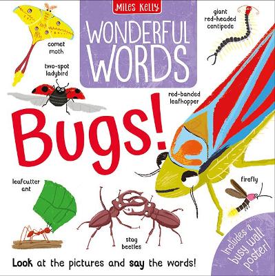 Book cover for Wonderful Words: Bugs!