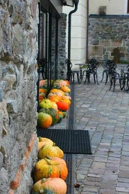 Book cover for Autumn Pumpkins and a Cobblestone Courtyard Journal