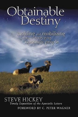 Book cover for Obtainable Destiny