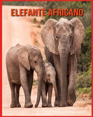 Book cover for Elefante Africano