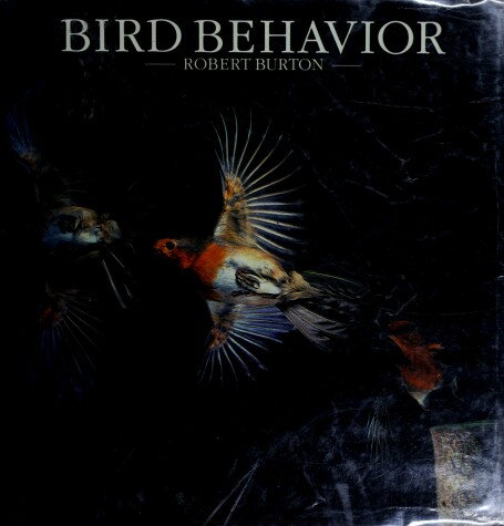 Book cover for Bird Behavior