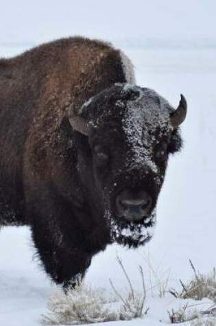 Cover of Buffalo in the Snow Winter Journal