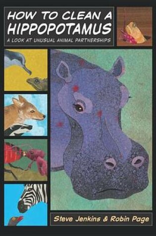 Cover of How to Clean a Hippopotamus